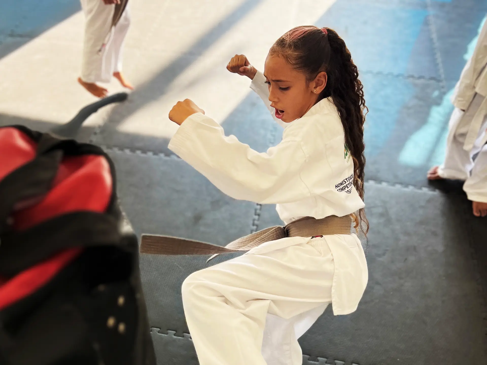 Taekwondo